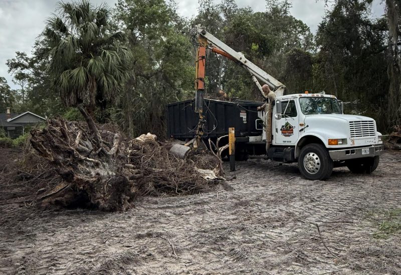 558085984_122142681254920505_8953871389777111818_n